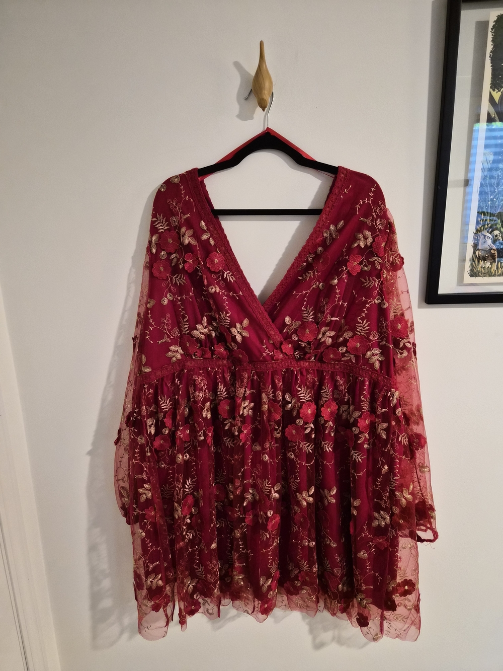 ARULA Deep Crimson Mesh Dress with Floral Details